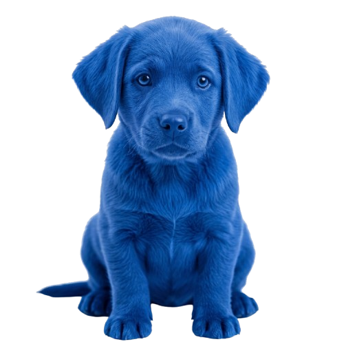 Blue Dog